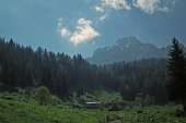 06 Baita di Malga Voia (1560 m.)